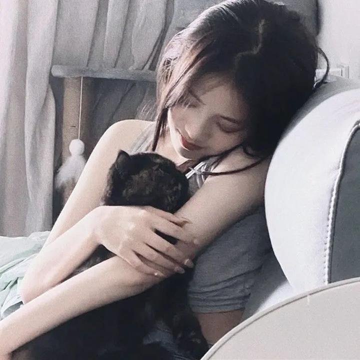 骚狐狸