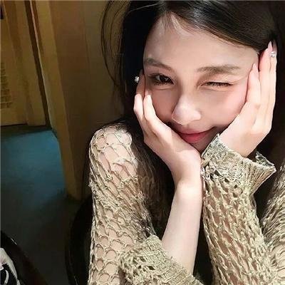 没人瞭波斯猫